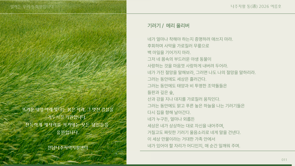 06afddd45bdc48be018cc5b3360a06a1_1782864397_28.png